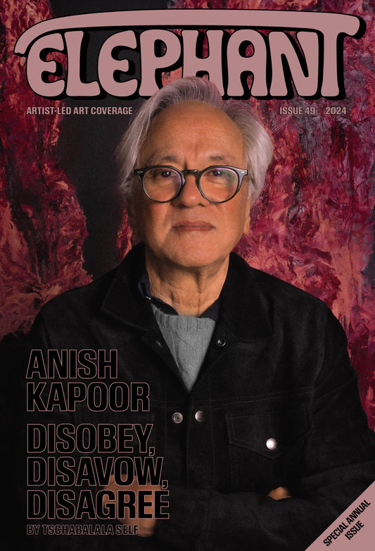 Elephant Issue 49 — Anish Kapoor cover
